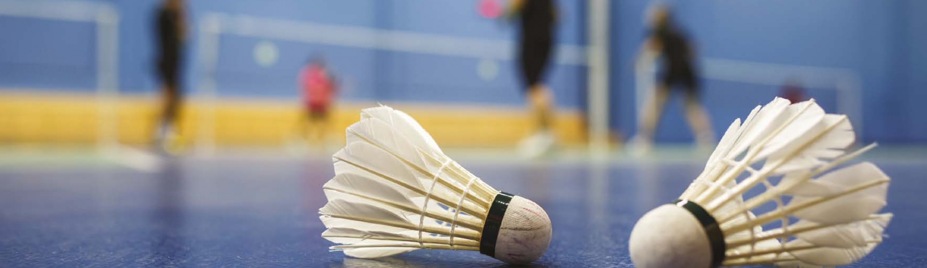 HS-Badminton